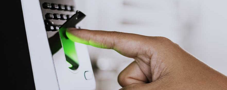 goe--servicios-tecnologico